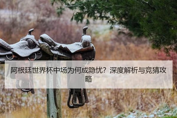 阿根廷世界杯中场为何成隐忧？深度解析与竞猜攻略